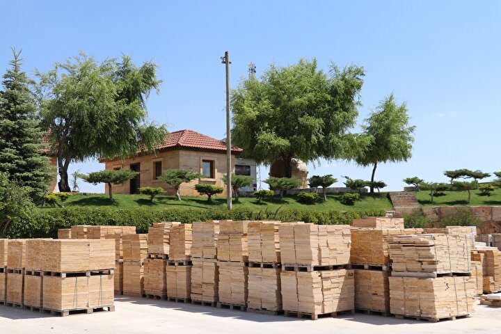 Export Markets