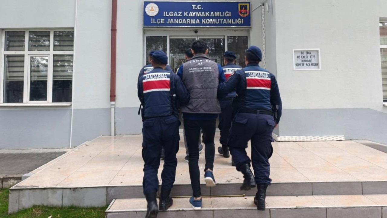 Çankırı’da Büyükbaş Hayvan Hırsızlığı: 2 Şüpheli Tutuklandı