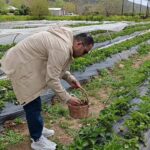 kozanda-tarim-turizmi-hamlesi-hasadi-ciftci-degil-yurttas-yapti-H4yWEjgP