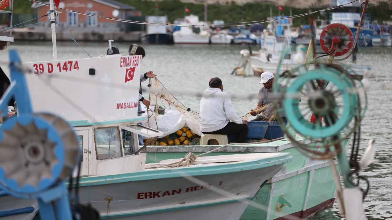 Kırklareli’nde Hamsi Avı Sezonu Bereketli Geçti: 16 Bin Ton Hamsi Elde Edildi