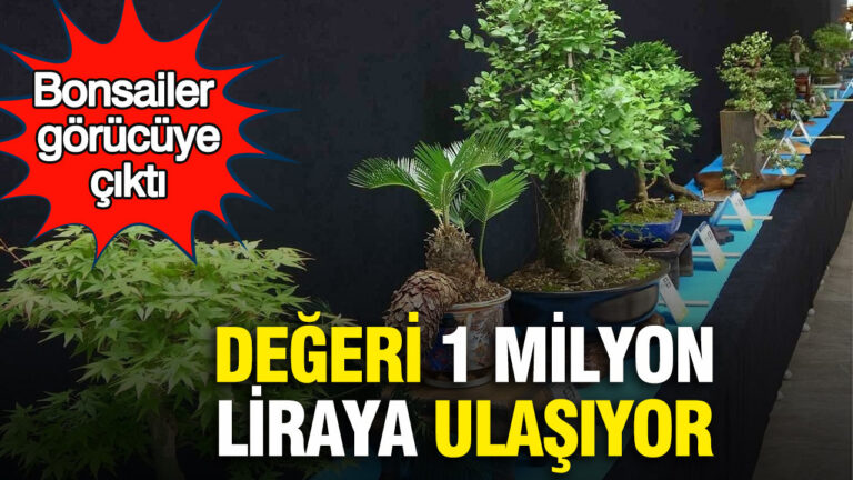 bonsailer-gorucuye-cikti-degeri-1-milyon-liraya-ulasiyor-7iHNK1Eq