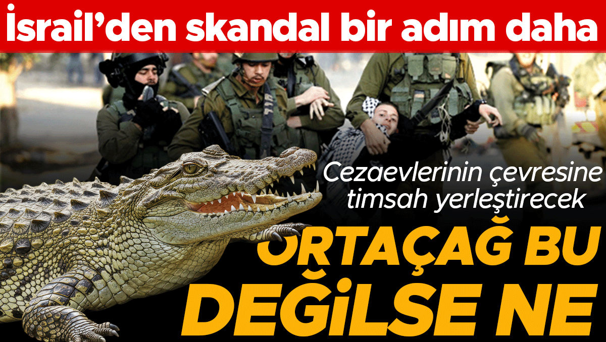 Filistinli mahkumlara akilalmaz ceza israilde yeni gardiyan timsahlar dJ46iYMw