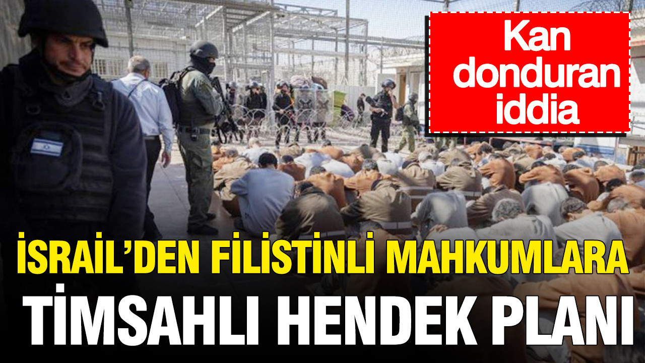 Israilden skandal plan filistinli mahk mlar icin timsahli hendek hazirligi bHQbhHYn